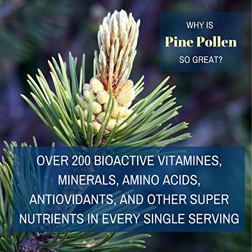 Pine Pollen Tincture (2 fl oz) Herbal Supplement